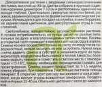 Космея Ракушка 0,5 г СМЦ-975