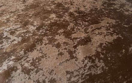 Велюр Джес 32 коричневый