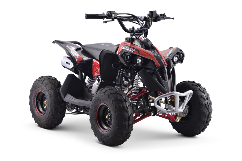Квадроцикл YACOTA RENEGADE Mini 110