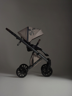 Детская коляска Anex e/type 2 в 1 eden