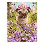 Картина по номерам 20*28,5см "Маленький пёсик" (Lori)