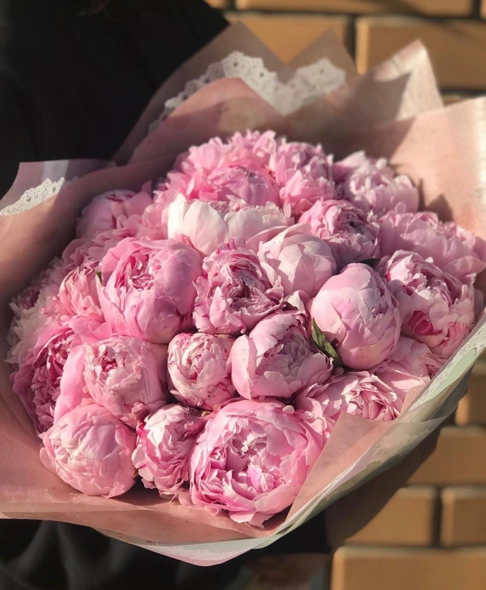 Букет из 31 пиона