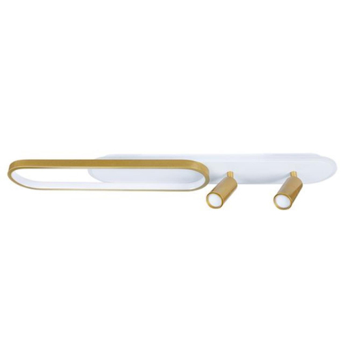 Настенно-потолочный светодиодный светильник Arte Lamp LUCAS A2600PL-32GO