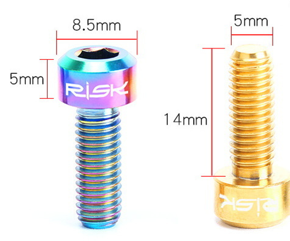 Болт Титановый Risk M5x14мм.(цвет Petrol)