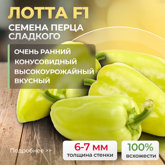 ЛОТТА_F1_семена_перца_сладкого_Enza_Zaden_оптом_купить – фото 1