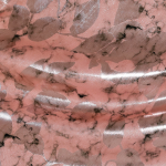 Тонкий плательный жаккард "мраморные розы"