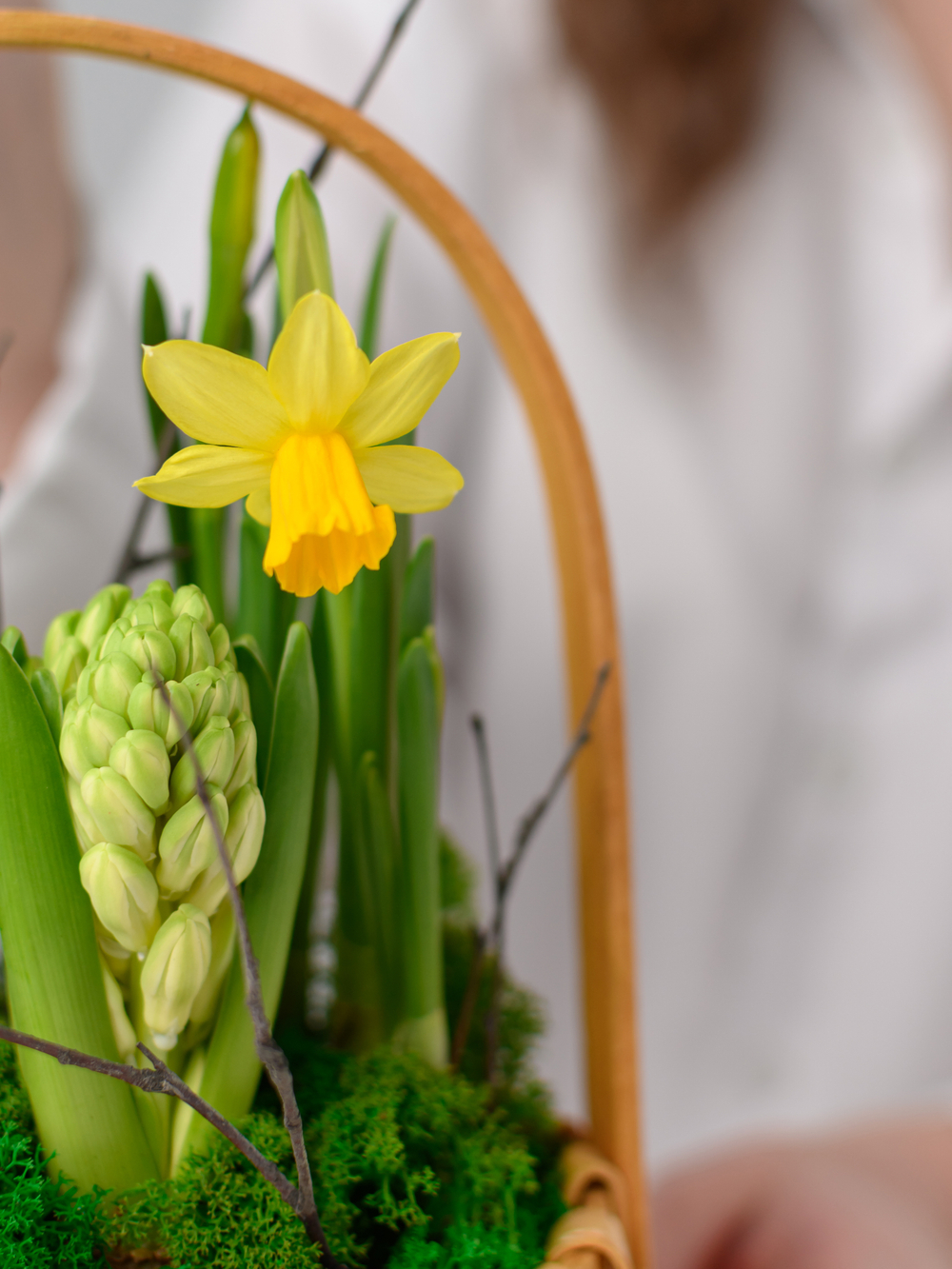 Первые цветы