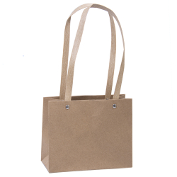 Пакет ПРЯМОУГОЛЬНЫЙ 22*18*10 с крафтовыми ручками