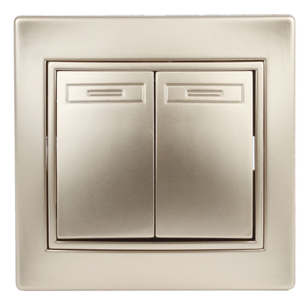 Выключатель Intro Plano 1-104-04 двухклавишный, 10А-250В, IP20, СУ, шампань | Intro Plano Шампань