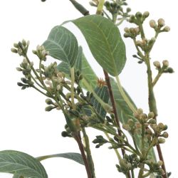 GAEM Цветок искусственный, L30 W30 H93 см