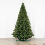 ствольная высокая ель