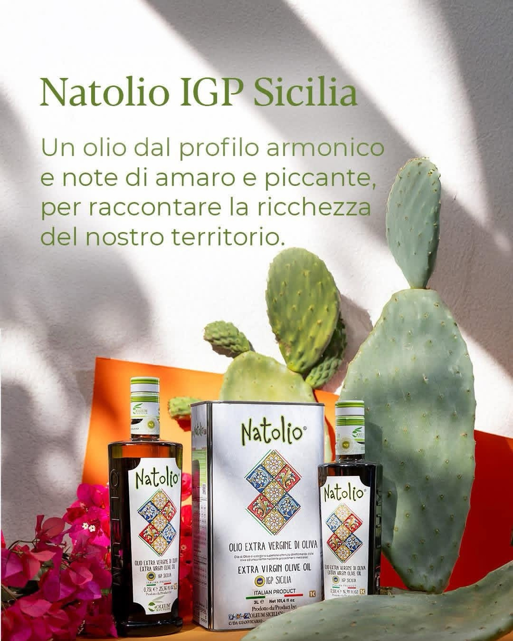Оливковое масло Olеum Sicilia Natolio 3л, Сицилия, Италия