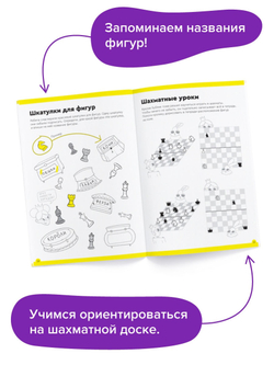 Основы шахмат и логика 3. Банда Умников