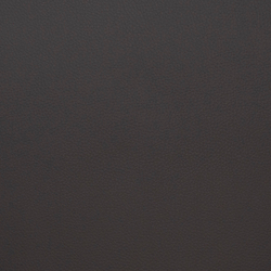 Искусственная кожа Grifon (Грифон) 12