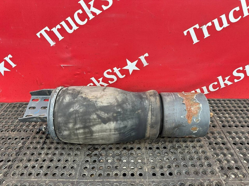 Подушка пневмоподвески задняя 2019г.