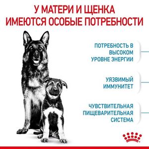 Корм для щенков крупных пород до 2-х месяцев и беременных сук, Royal Canin Maxi Starter Mother & Babydog