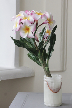 Набор вайнеров для листьев Плюмерии (2 шт)