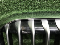 Решетка радиатора BMW X7 G07 (2019-2022)