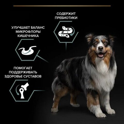 Сухой корм Pro Plan® SENSITIVE DIGESTION для собак средних пород с чувствительным пищеварением, с ягненком, Пакет 1,5кг