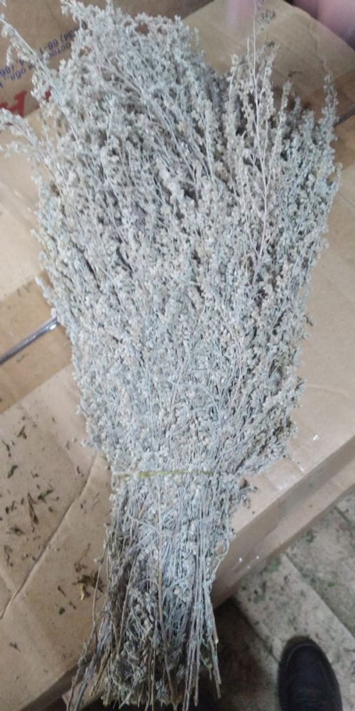 Изображение WhatsApp 2025-12-15 в 18.02.52_07cb3dee.jpg