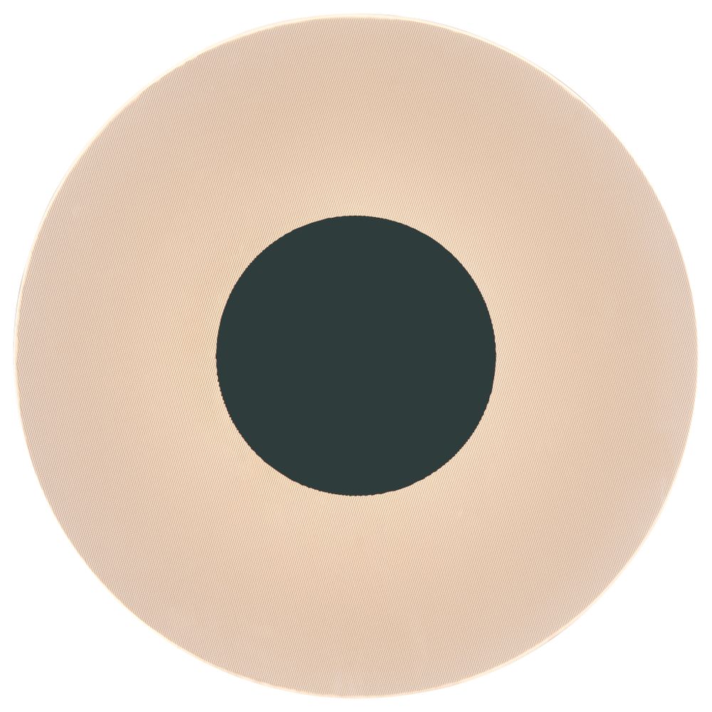 8013 Настенный светильник VENUS