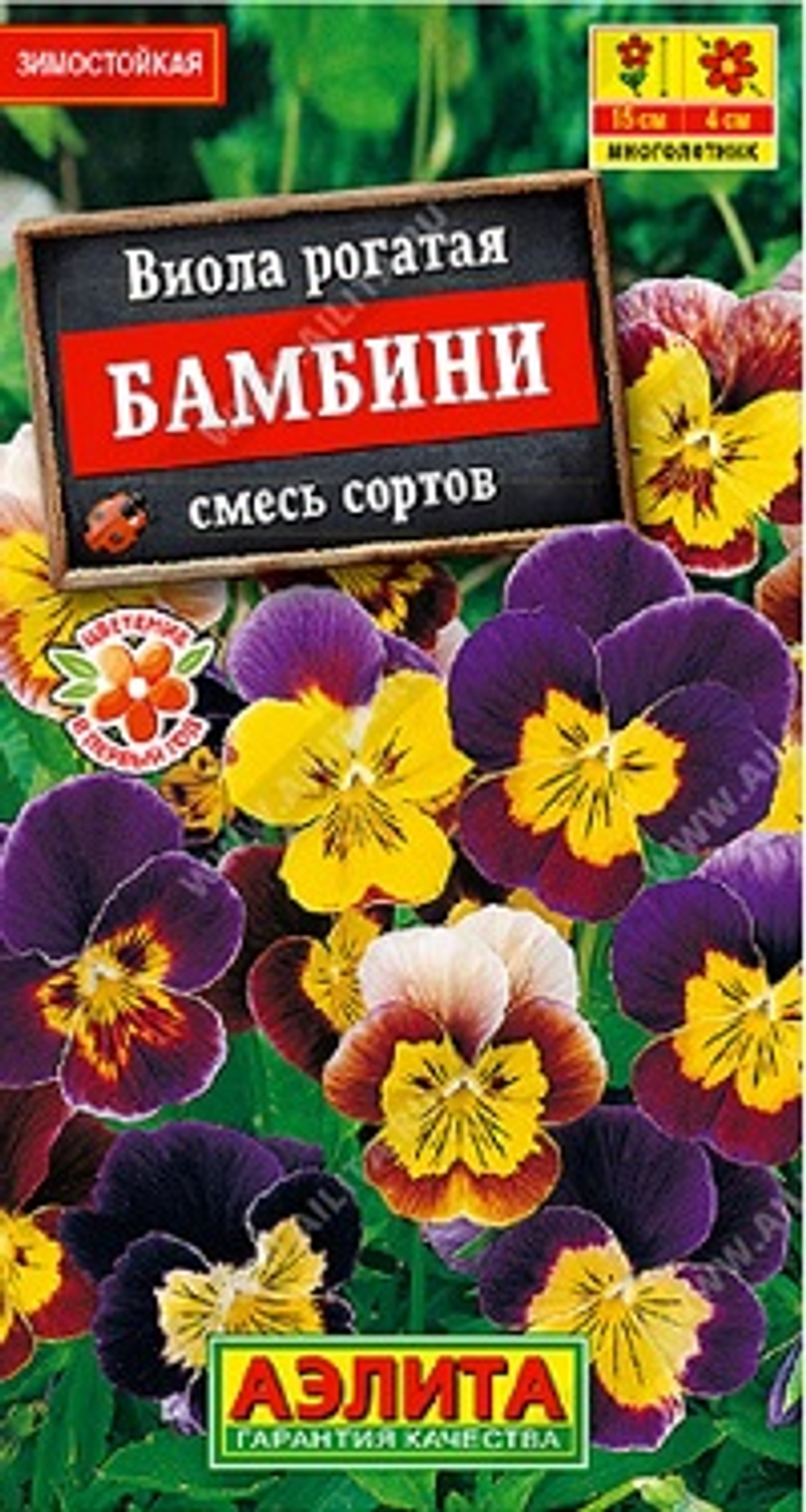 Виола Бамбини, смесь сортов