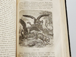 "Путешествие по Сибири и прилегающим к ней странам Центральной Азии." Составили А. фон -Этцель и Г.  Вагнер.  1865 г.