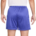 Баскетбольные шорты Nike Dri-FIT Shorts Purple