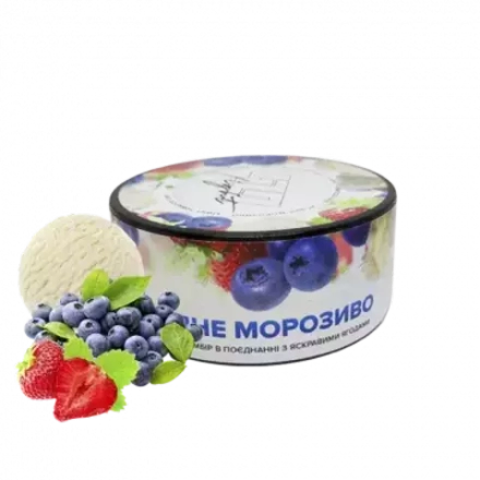 420 Лайт - Чорничне Морозиво (100г)