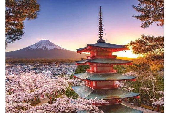 Puzzle Fuji Cherry Blossom View 1000 pcs