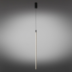 Подвесной светильник Aployt APL.0124.06.15