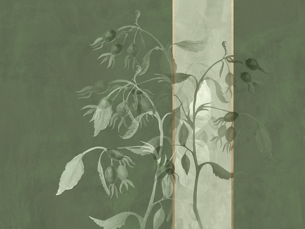 Коллекция BELLA