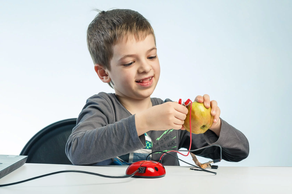 Академия Наураши. Мультимедийная лаборатория