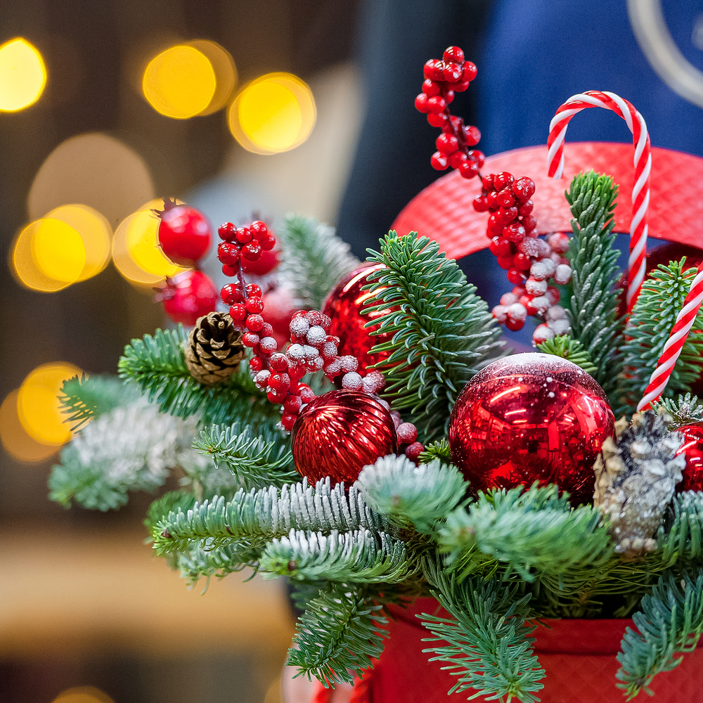 Красная шляпная коробка с нобилисом