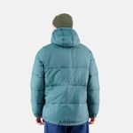  Пуховик мужской Dickies Waldenburg Hooded артикул:DK0A4YEY0LN1 - купить в магазине Дайс