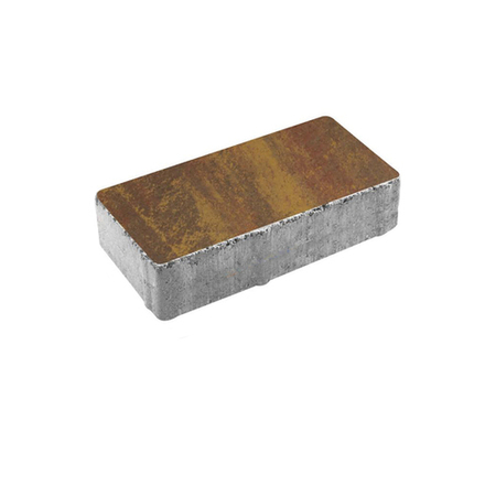 Тротуарная плитка ПРЯМОУГОЛЬНИК 200x100 мм - Листопад гладкий Осень