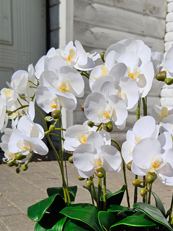 Искусственные Орхидеи белые 7 веток 50см в кашпо Лофт