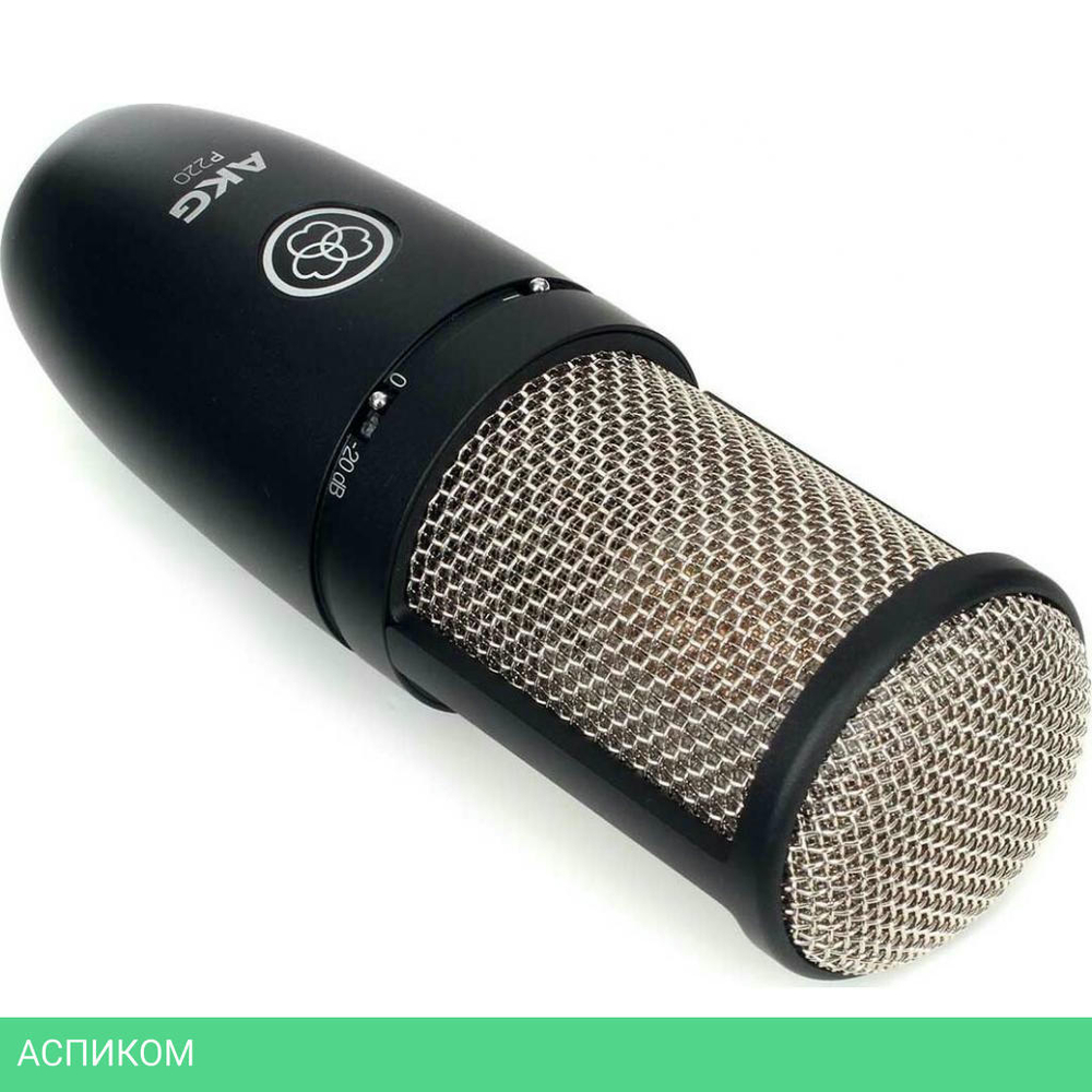 Микрофон AKG P220 (3101H00420)