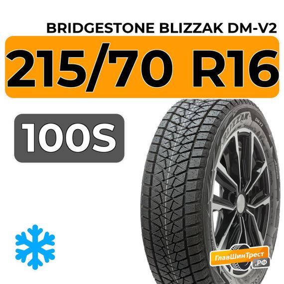 Bridgestone Blizzak DM-V2 215/70 R16 100S