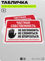 Табличка для частной территории "Частная собственность", на дом, для участка, организаций, предупреждающая, 40х30 см, Silver Plane x Айдентика Технолоджи