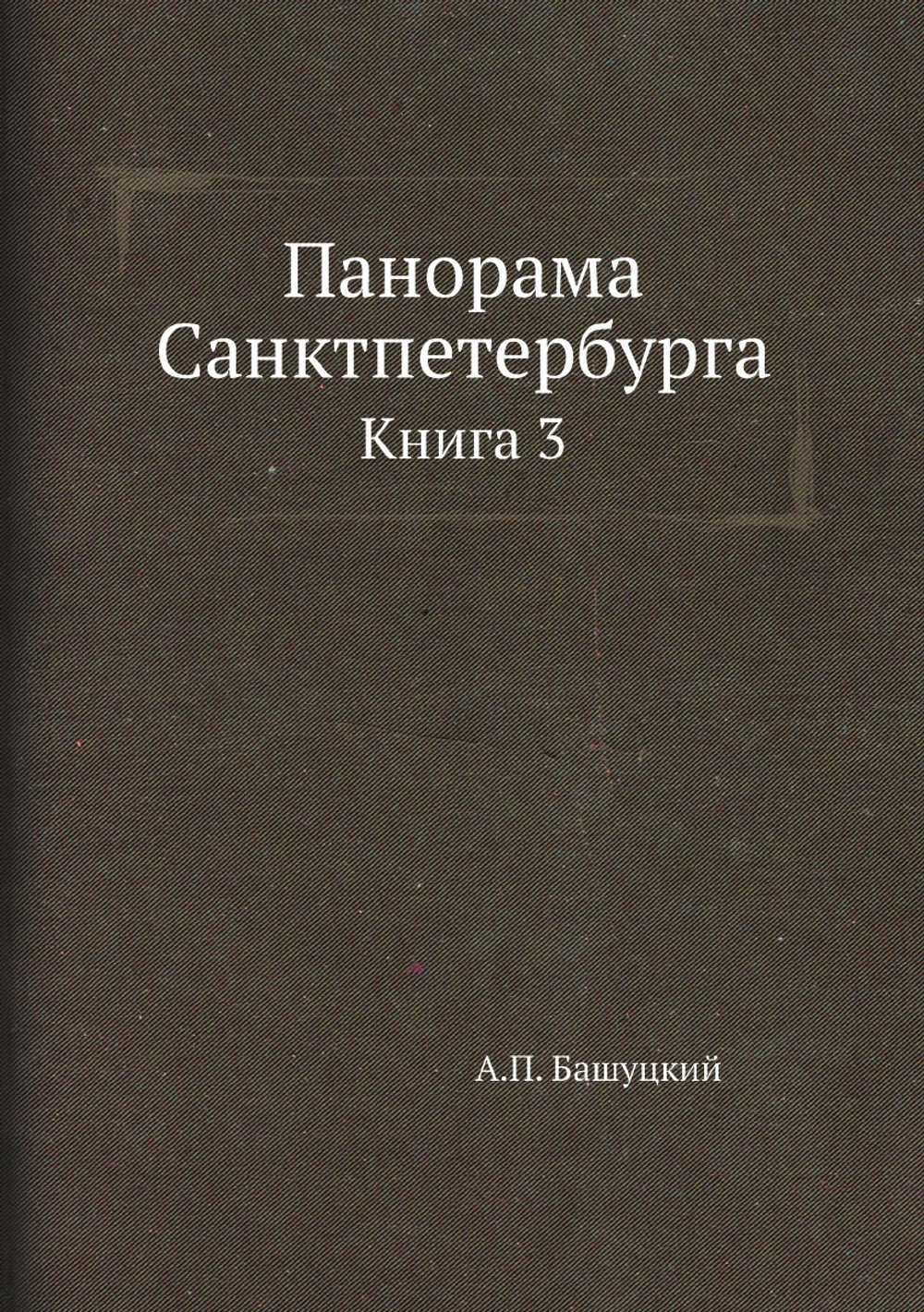 Панорама Санктпетербурга. Книга 3 | А.П. Башуцкий