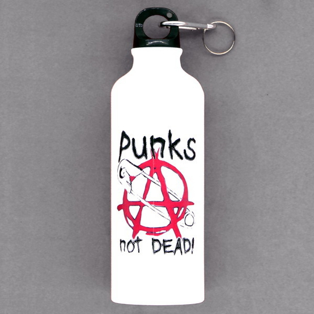 Бутылка Punks Not Dead