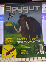 Журнал: Юный эрудит. Выпуск №6. 2021