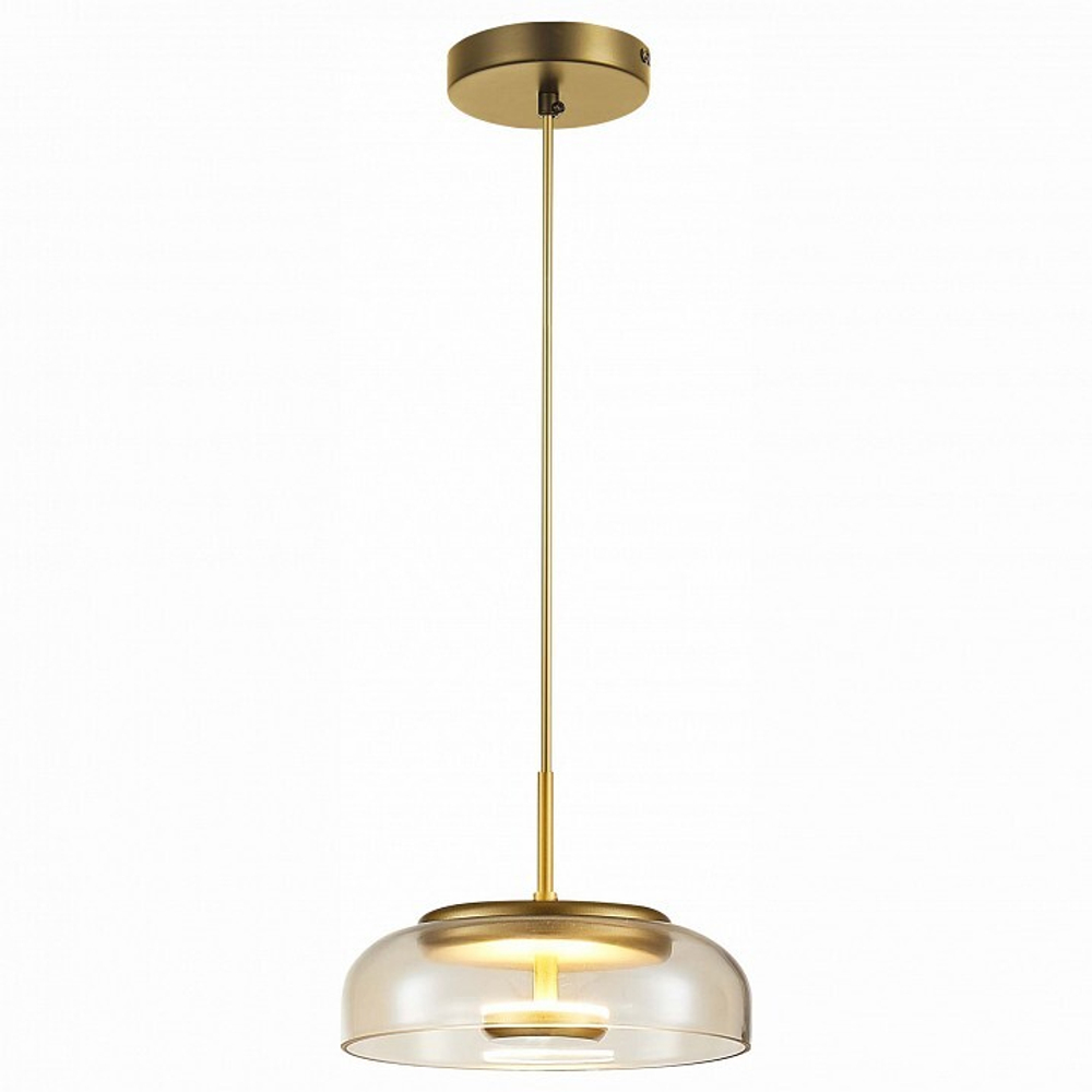 Подвесной светильник ST-Luce SL6002.203.01