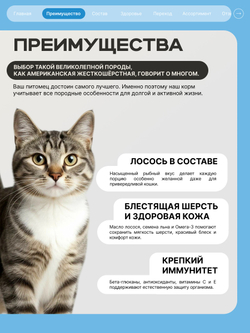 Корм сухой для взрослых кошек породы Американская жесткошёрстная, с лососем, 400 гр, QUATTRO