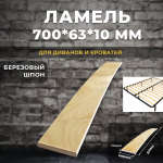 Ламель 700*63*10 мм