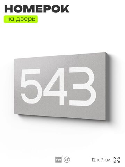 Номер на дверь 543, табличка на дверь для офиса, квартиры, кабинета, аудитории, склада, серая 120х70 мм, Айдентика Технолоджи