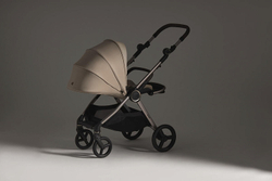 Детская коляска Anex iQ Premium NT 2 в 1 iQ-13-DNA seal