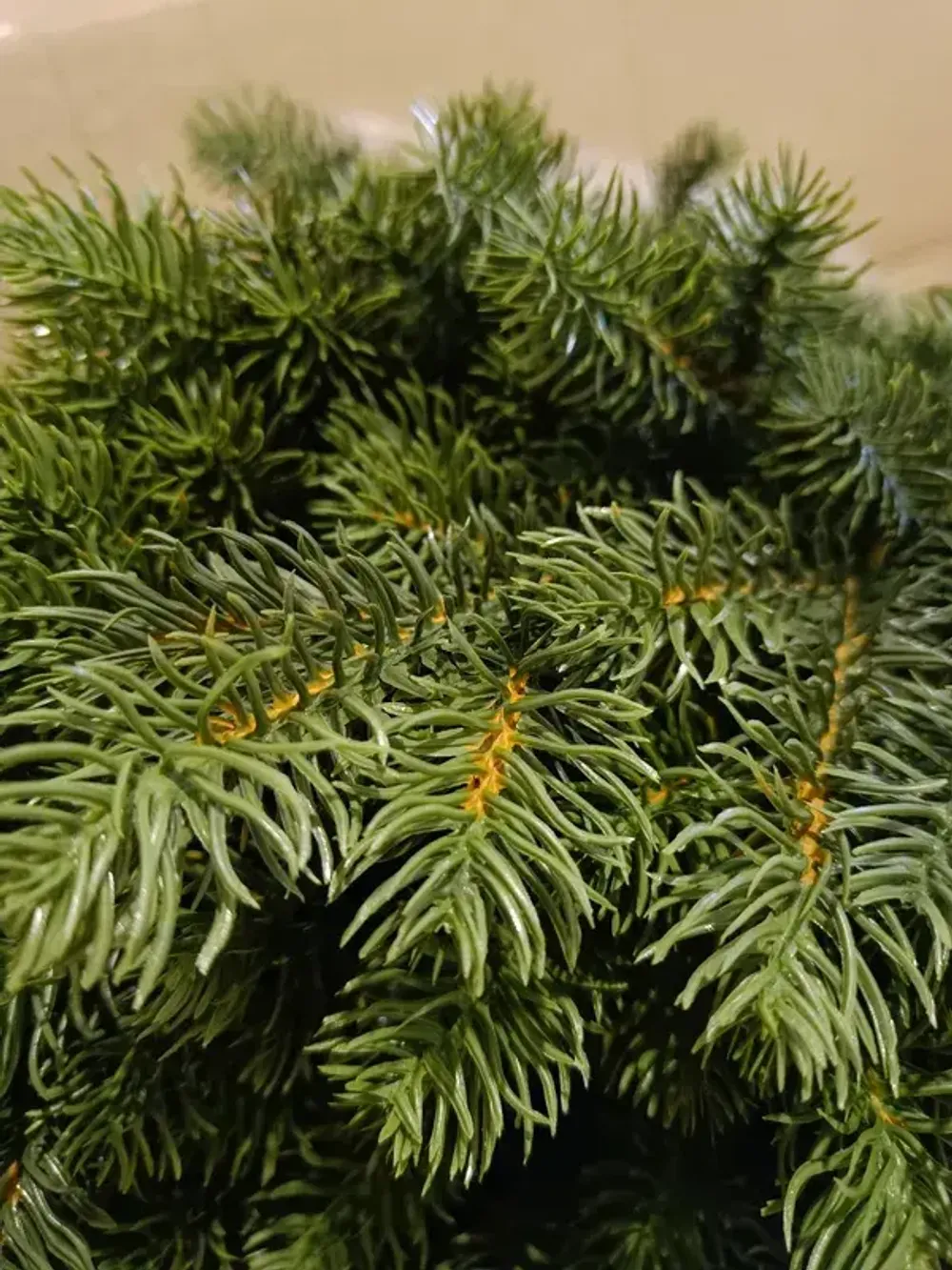 Искусственная ель «Леано» (Литая хвоя) от 1.8 до 2.4 м