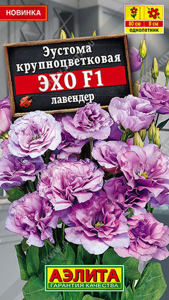 Эустома крупноцветковая &quot;С. Эхо F1 лавендер&quot; 5шт., Россия.